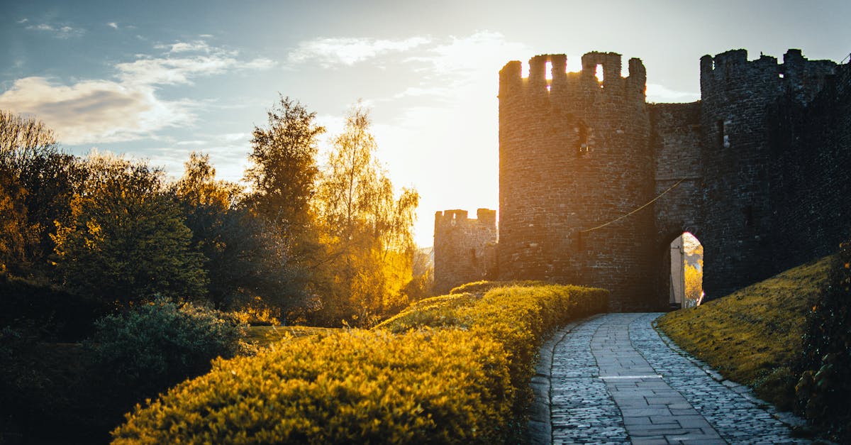 Best Practices to Stop Algae Growth on Stone Cladding